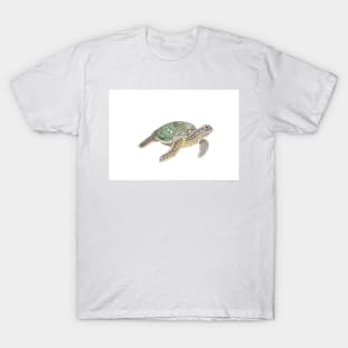 Tortuga T-Shirt